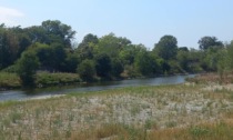 Montichiari partecipa al progetto dell’ippovia per tutelare il fiume Chiese