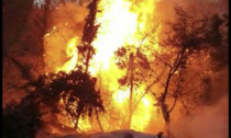 In fiamme la collina Belvedere, intervento difficoltoso per i Vigili del Fuoco