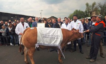 Lombardia Carne 2022: la 131esima edizione