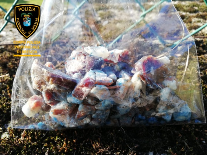 “Esche bocconi” rinvenute dall’Unità Cinofila, pericolo per gli amici a quattro zampe