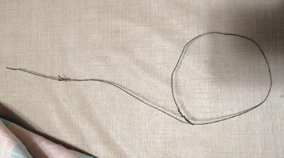 Malmenano e impiccano un gatto, ma l’animale riesce a scappare