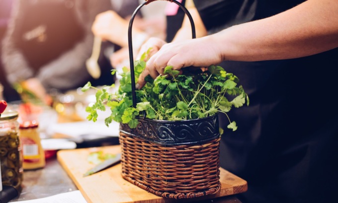 Facciamo l’orto in casa: da questa settimana in regalo il coriandolo