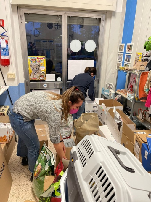 Raccolta beni per l’Ucraina, l’iniziativa di Enpa Brescia