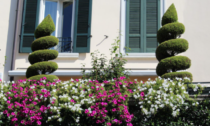 "Balcone fiorito", torna l'iniziativa che rende "più bello" il comune benacense