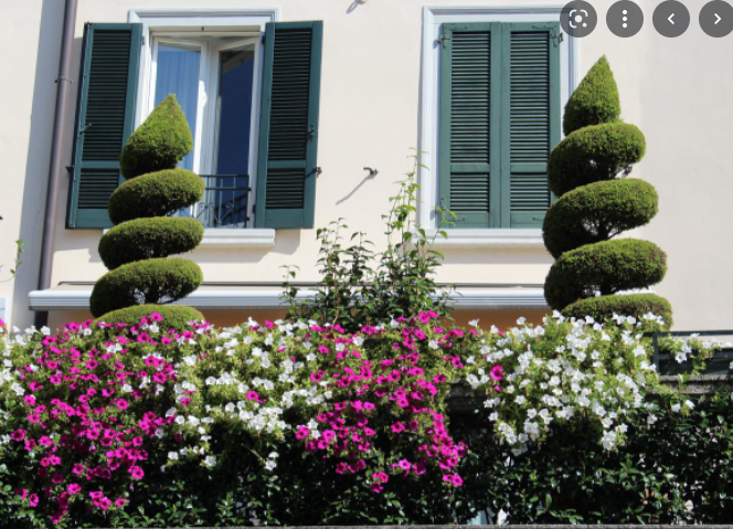 “Balcone fiorito”, torna l’iniziativa che rende “più bello” il comune benacense