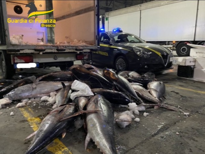 Maxi sequestro di pescato destinato alla vendita, potenzialmente pericoloso per la salute umana