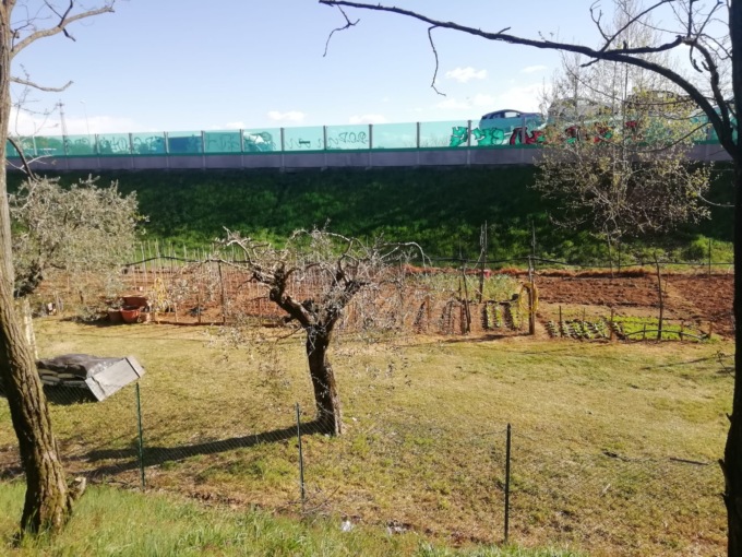 Orti sociali: sono aperte le candidature a Lonato