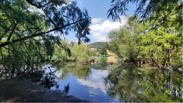 Menzione d’onore per il progetto di valorizzazione del bosco dei Taxodi