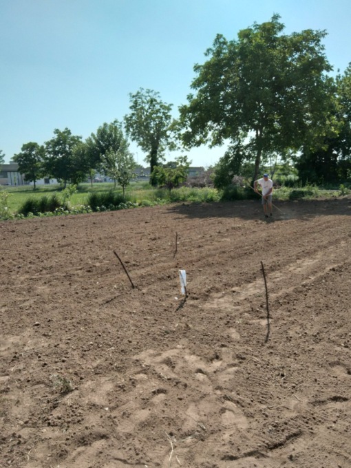 La biodiversità si fa spazio nei terreni di cascina Bina
