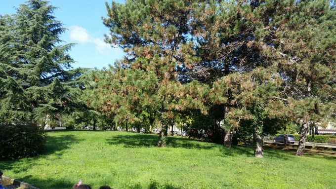 Weekend ricco di eventi tra Corte Franca e Passirano