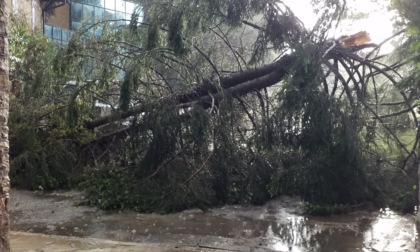 Tempesta si abbatte sul Bresciano: frana ad Angolo Terme, strade allagate e alberi abbattuti in tutta la provincia