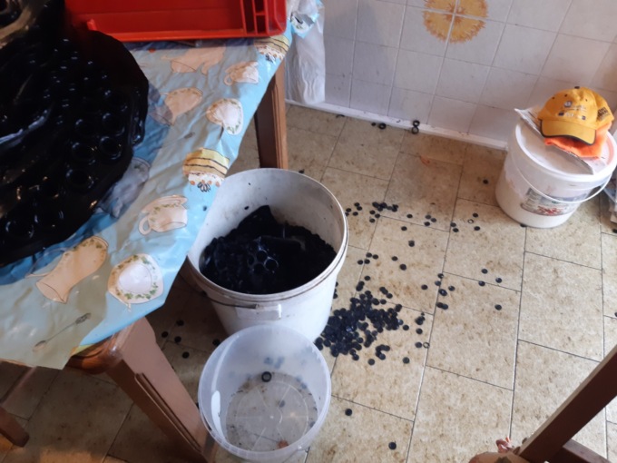 Lavoravano la gomma in nero nella propria abitazione, nei guai un imprenditore