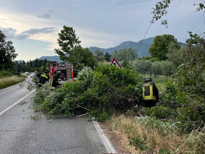 Il vento spezza gli alberi delle Torbiere: pericolo per le auto