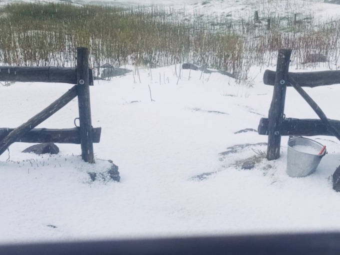Grandine in Valcamonica e Valsabbia, Coldiretti Brescia fa il punto della situazione