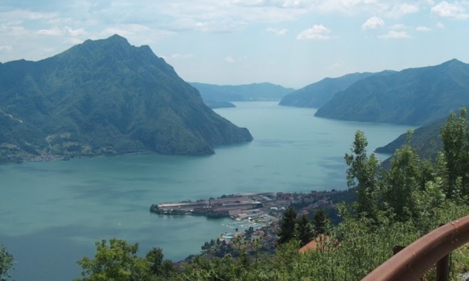 Punto da uno sciame di vespe (o calabroni), per lui non c’è stato nulla da fare
