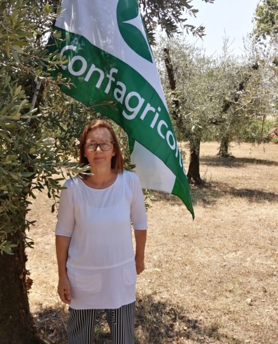 Olivicoltura bresciana, settore in crisi