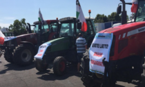 Agricoltori in sommossa, Copagri lancia l'appello: "Chiediamo un immediato intervento del Governo"