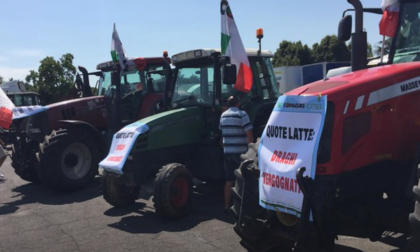 Agricoltori in sommossa, Copagri lancia l'appello: "Chiediamo un immediato intervento del Governo"