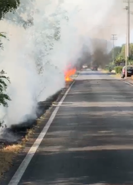 Divampano le fiamme a Ghedi, bruciate parecchie sterpaglie