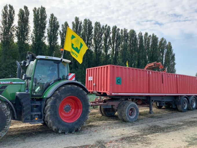 Il caldo fa maturare prima i pomodori, anticipata la raccolta