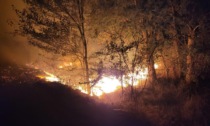 Ancora fiamme nel parco dell'Oglio, indagini in corso