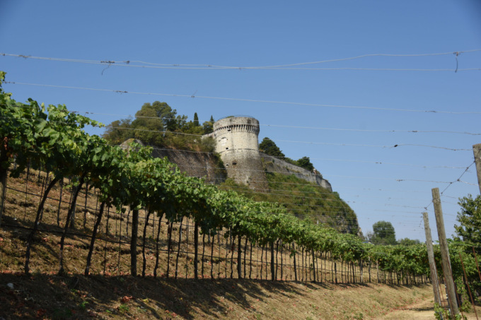 “Strada del Soccorso del Castello” posizionate le reti metalliche