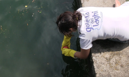 Goletta dei laghi promuove il Sebino: inquinato solo un punto su sette