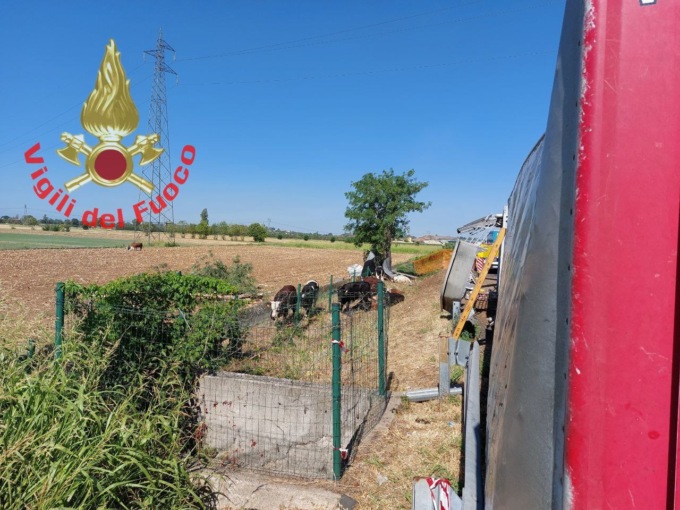 Tir ribaltato e mucche in A4, l’intervento dei Vigili del Fuoco