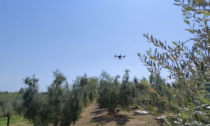 Droni come difesa delle coltivazioni, sul Garda il primo test