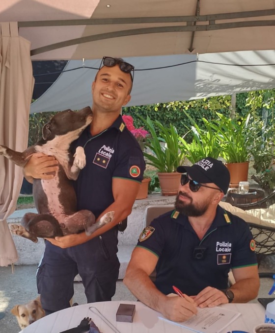 Pensione-rifugio abusiva, sanzionata una cinquantenne