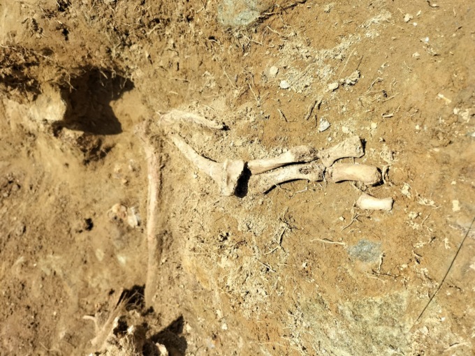 Recuperati i corpi di dodici soldati austroungarici in una fossa comune