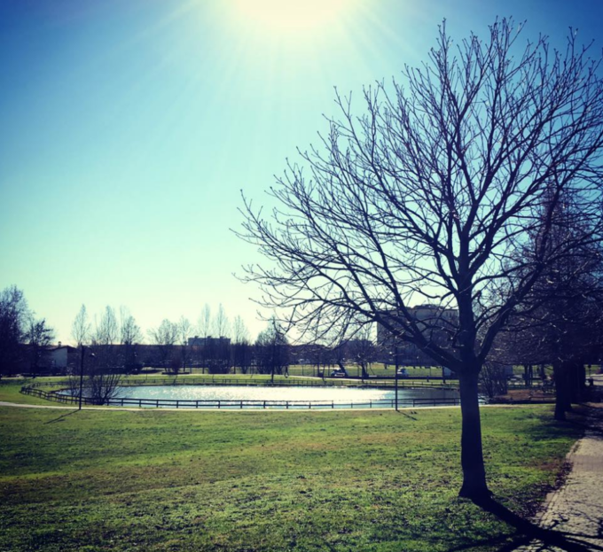 Parco chiuso per derattizzazione, poco efficaci le trappole