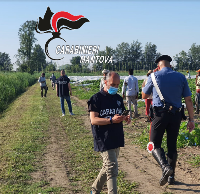 Due lavoratori in nero ed un clandestino, attività sospesa