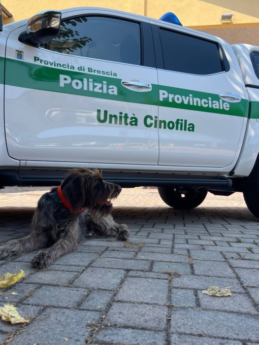 Unità Cinofila Antiveleno della Polizia Provinciale, la presentazione