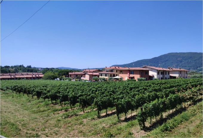 L’ombra del cemento sui vigneti nel centro di Cremignane