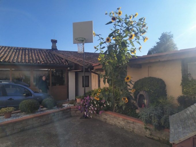 Nel giardino spunta un girasole gigantesco