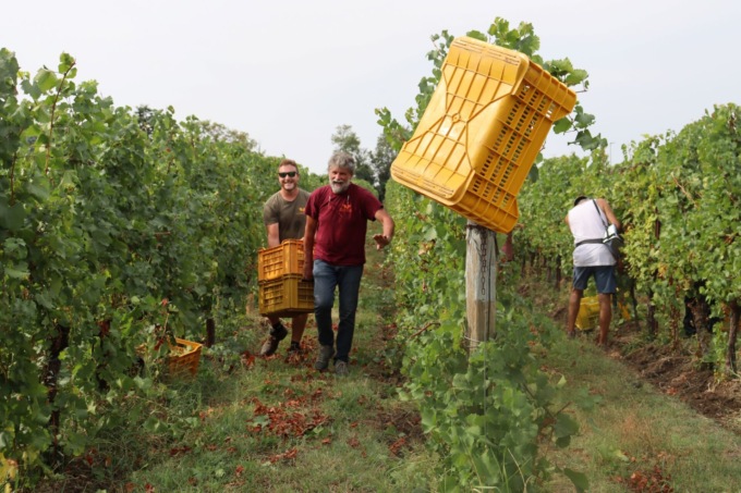 A Cascina Clarabella la vendemmia è inclusiva