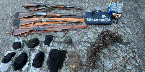 Operazione “Balia Nera”, i carabinieri forestali in difesa delle valli lombarde