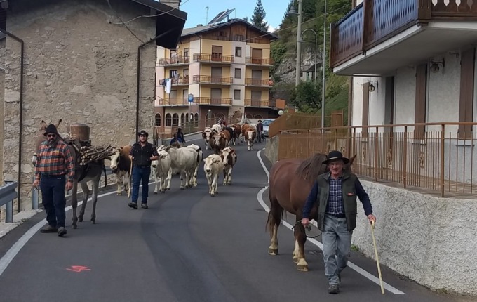 La Transumanza arriva in città: a Colognola accampamento bergamino e cucina tipica