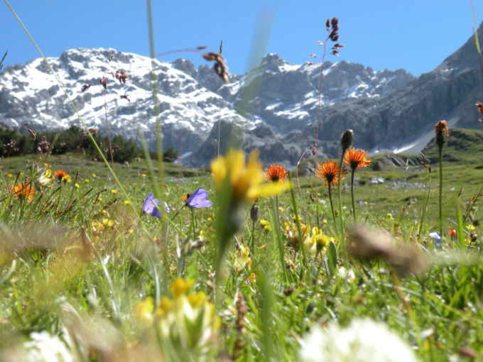 Le proposte della Lega per il rilancio dei territori montani