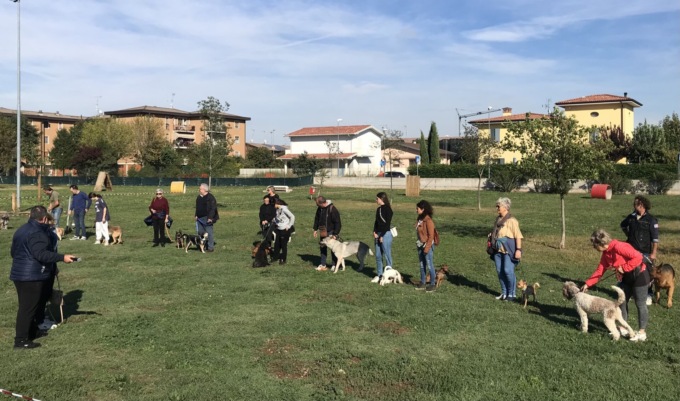 Fido a lezione di buona condotta