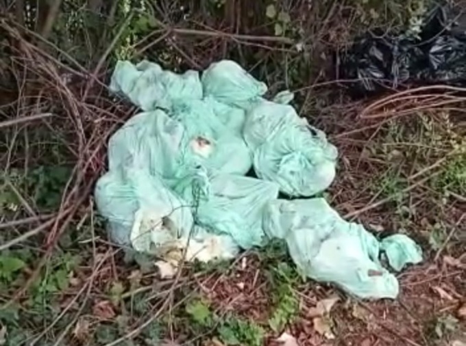 Scarti di carne e frattaglie abbandonati per strada: multato un ristorante di Salò