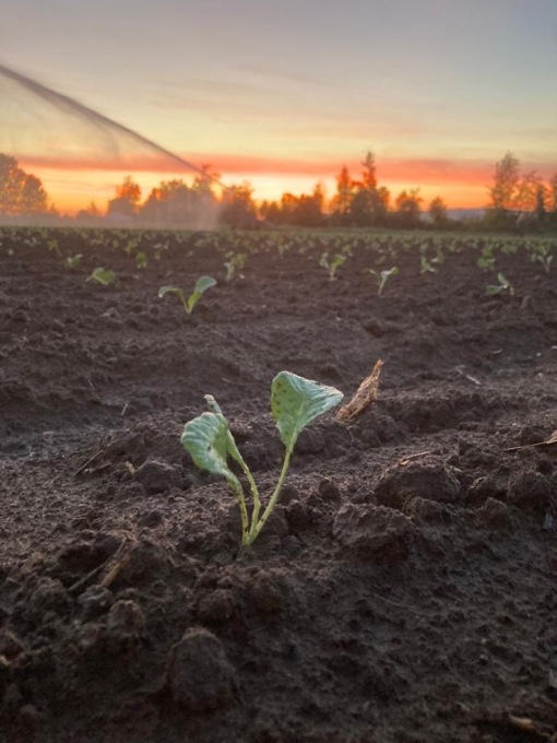 A ottobre scatta…l’allarme siccità