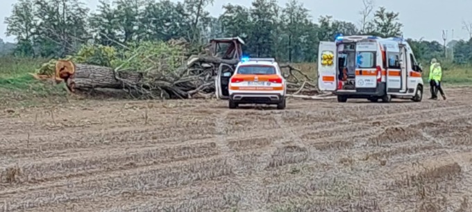 Taglia una pianta che gli cade addosso: muore un 77enne