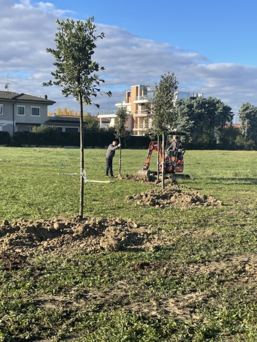 Le scuole di Desenzano celebrano la Giornata degli Alberi