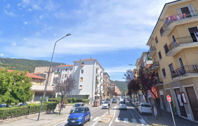 Viale Piave, al via i lavori di riqualificazione delle alberature