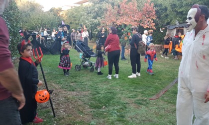 Halloween da record nel giardino stregato di Laura Salogni