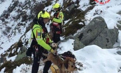 Cani in difficoltà in alta quota, intervengono i Vigili del Fuoco