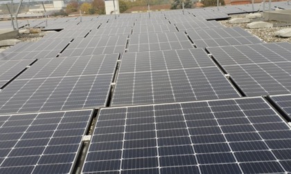 Fotovoltaico, Coldiretti: "Chiesto al Governo consumo del suolo agricolo pari allo 0%"