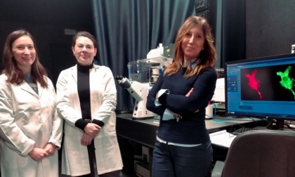 Premiato il gruppo di ricerca della prof.ssa Bellucci: una nuova molecola contro il Parkinson